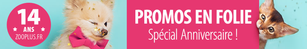 Retrouvez toutes les promotions spécial anniversaire !