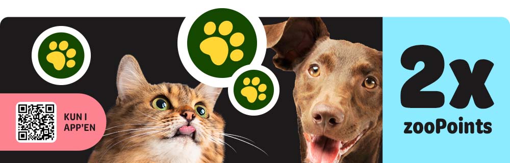 2x ZooPoints