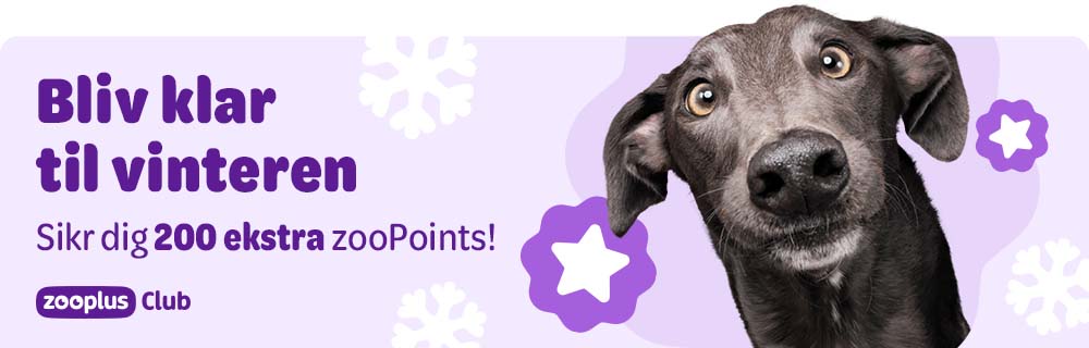 Sikr dig 200 ekstra zooPoints