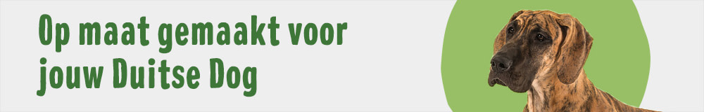 Duitse Dog 