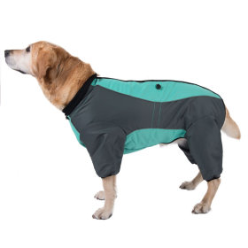 Registratie wijsheid Berucht Trendy hondenkleding voordelig bij zooplus