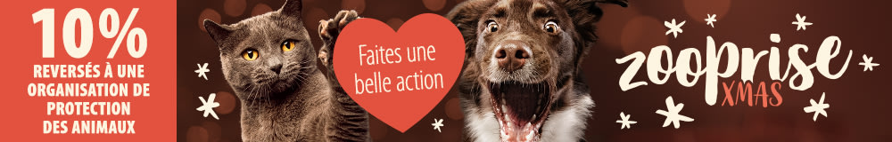 10 % reversés pour la protection des animaux ! 