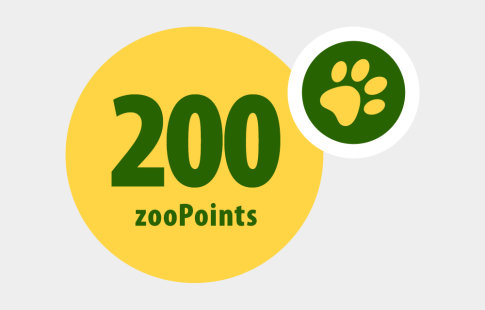 200 zooPoints