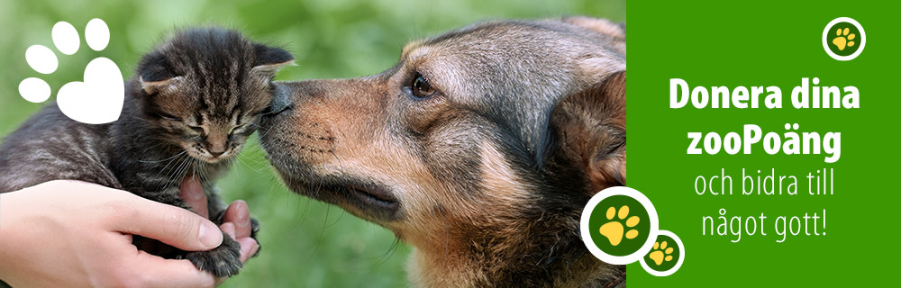 Donera dina zooPoäng
