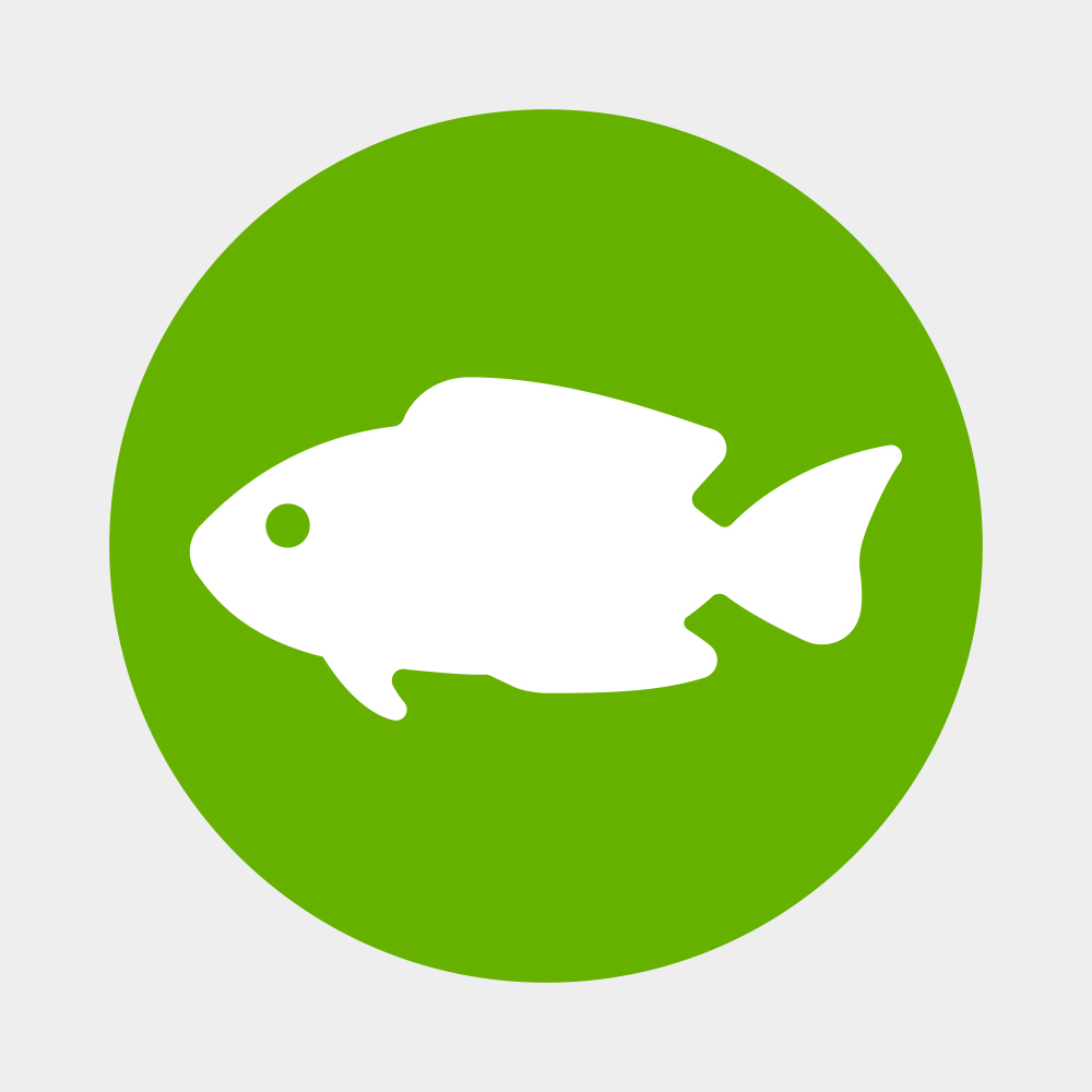 Barschfutter & Cichlidenfutter