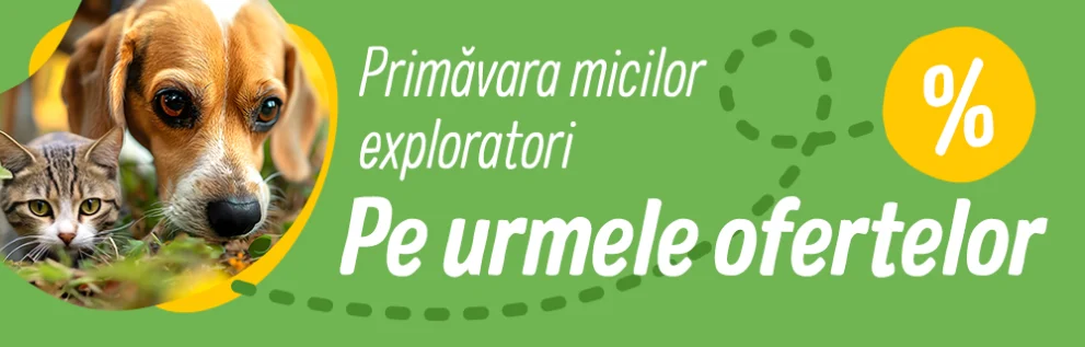 Pe urmele ofertelor de Primăvară!