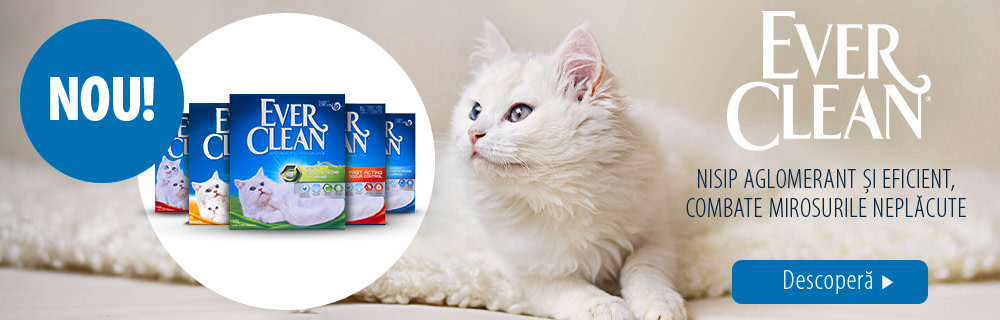 Descoperă cel mai nou nisip de la zooplus!