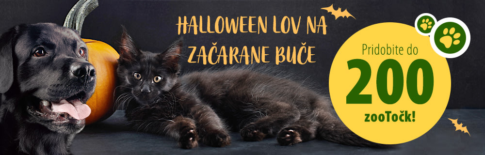 Halloween lov na začarane buče 