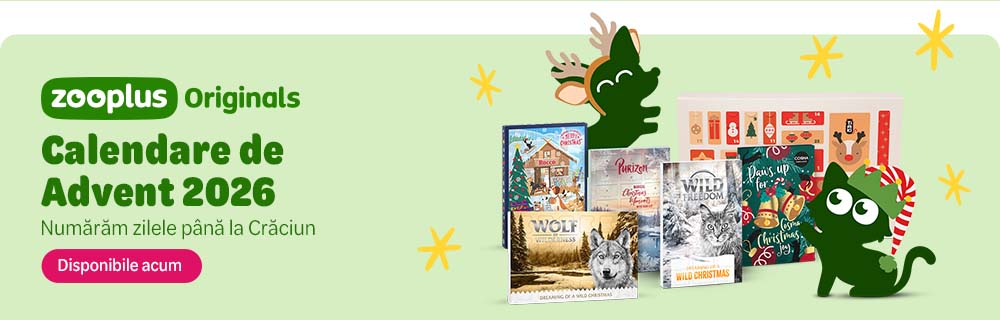 Calendare de Advent 2026. Numărăm zilele până la Crăciun. Disponibile acum.