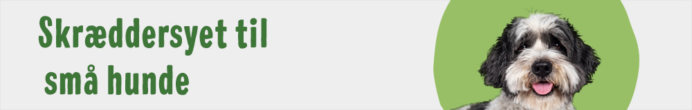 Små hunde