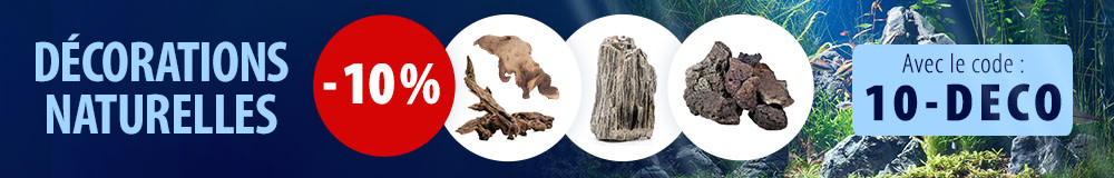 10 % de remise sur les décorations pour aquarium
