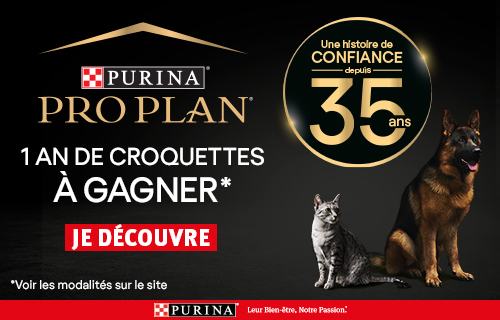 Jeu Concours Gagnez 1 An De Nourriture Pro Plan Zooplus