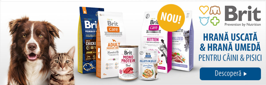 Descoperă Brit hrană uscată & hrană umedă pentru câini & pisici!