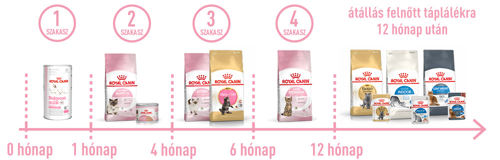 A megfelelő termék minden fázishoz