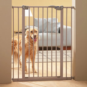 Barrière pour chien, Barrière de sécurité pour animaux de compagnie, Porte  magique pour chiens Garde de sécurité verrouillable, Portes pour animaux de  compagnie Porte d'escalier facile à installer n'importe où