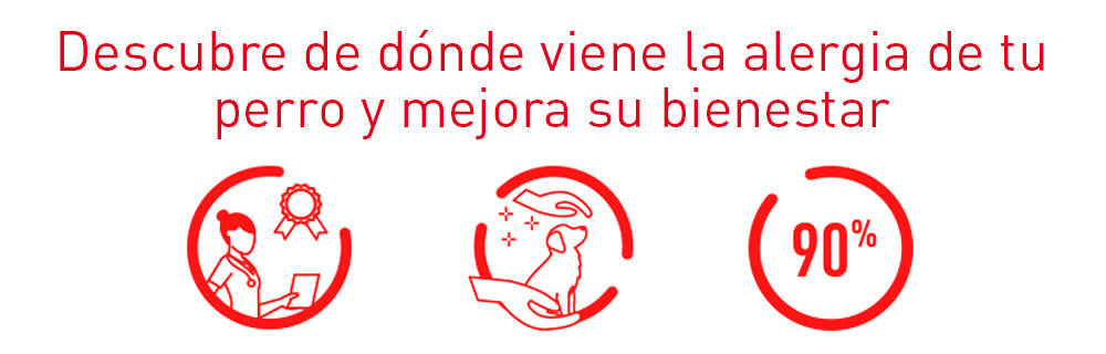 Royal Canin Veterinary Dermacomfort para perros