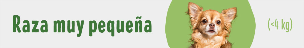 Raza muy pequeña (< 4 kg)