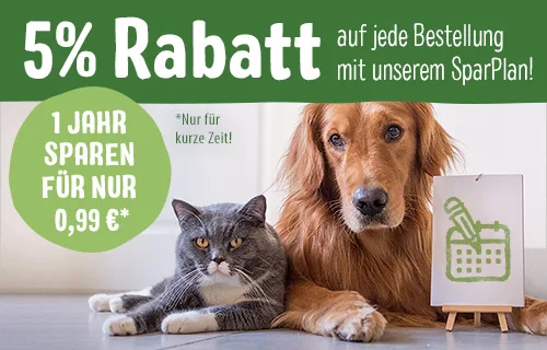 1 Jahr sparen für nur 0,99€!