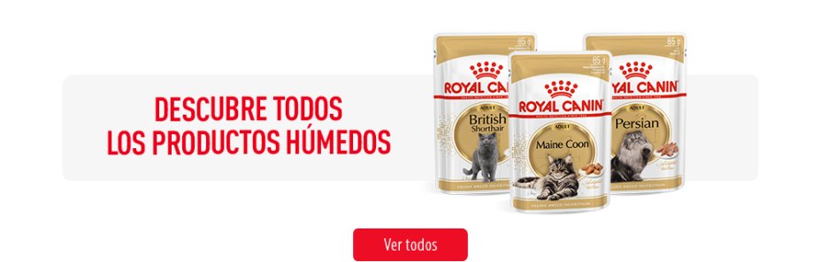 Royal Canin comida húmeda para gatos de raza
