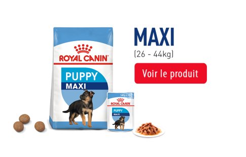 Royal Canin Puppy Subpage - Grids taille MAXI Image