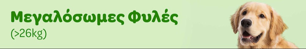 Μεγαλόσωμες Φυλές