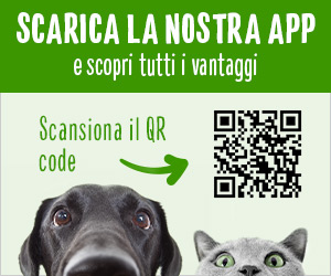 scarica l'app!