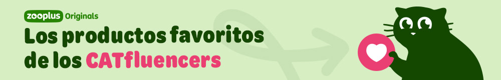 Los productos favoritos de los CATfluencers 