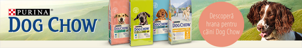 Descoperă hrana pentru câini Purina Dog Chow!