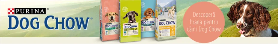 Descoperă hrana pentru câini Purina Dog Chow