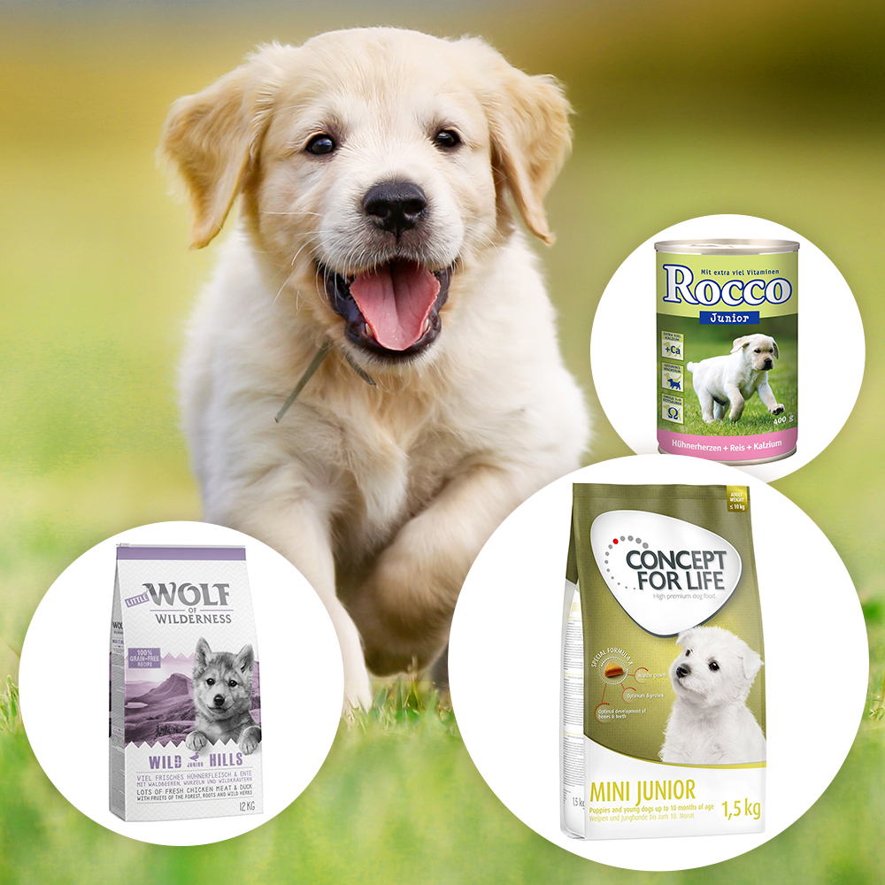 zooplus puppy food