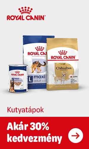 Royal Canin kutyatápok kedvezményes áron