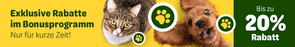 Exklusive Rabatte im Bonusprogramm
