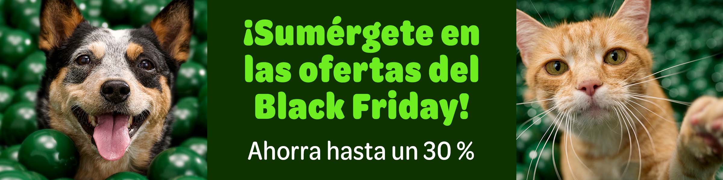 Descubre las mejores ofertas de Black Friday