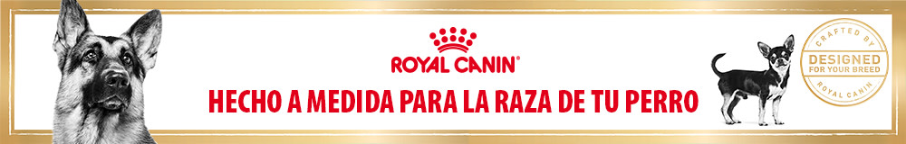 Alimentos para perros según su raza