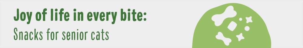 Senior Snacks for Cats