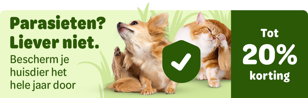 Local banner 20% discount