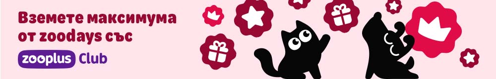 Сега е моментът да се възползвате до край от zoodays