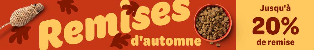 Remises d'automne jusqu'à 20% de remise
