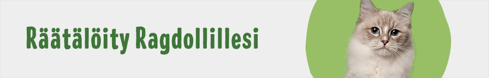 Cat Breed Ragdoll 1000x160 FI