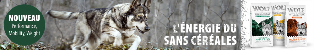 Croquettes Wolf of Wilderness Xplore