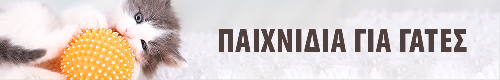 Παιχνίδια για Γάτες