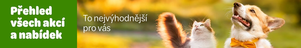 Všechny nabídky a akce