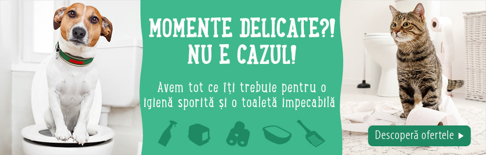 Momente delicate?! Nu e cazul! Descoperă ofertele la produse igienice pentru 😻 & 🐶 