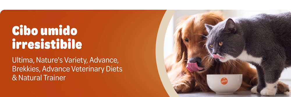 Landingpage Wet Affinity Header Banner.