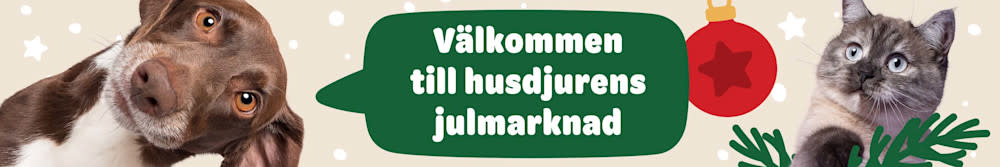 Välkommen till husdjurens julmarknad.