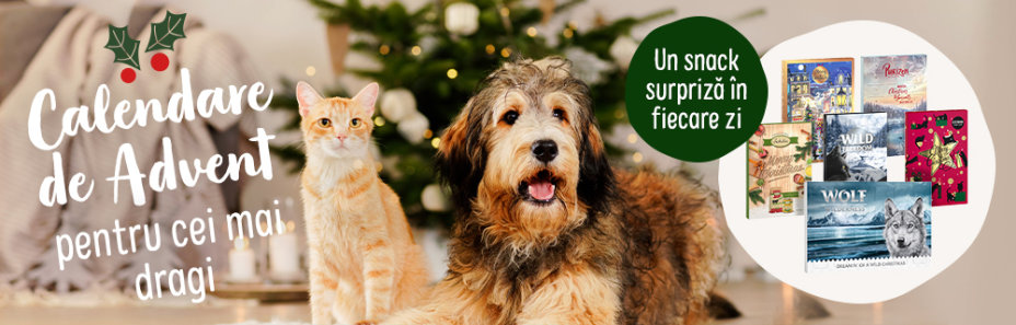 Calendare de Advent pentru câini și pisici! 