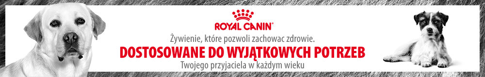 Royal Canin Senior - karma dla psów