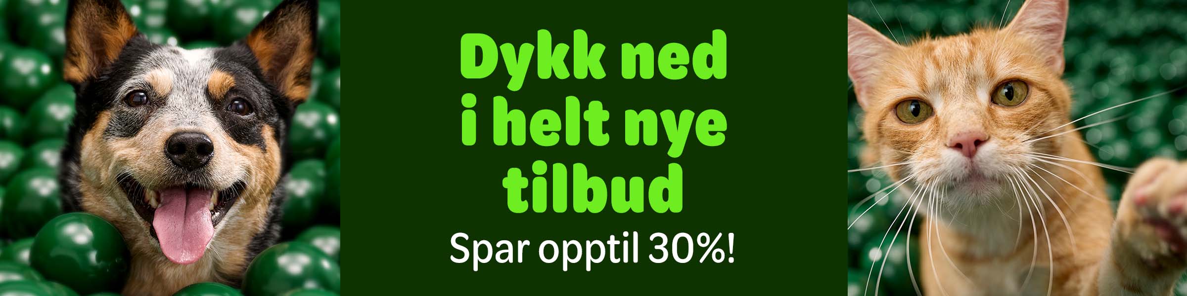 Oppdag årets beste tilbud