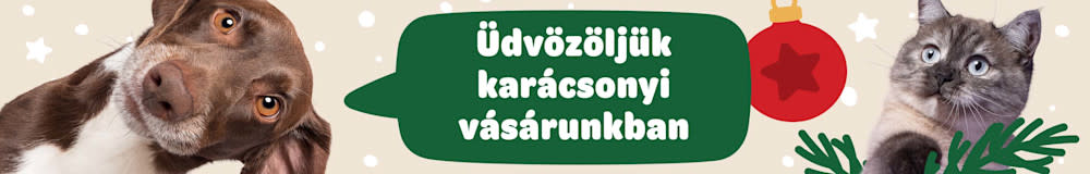 Karácsonyi vásár