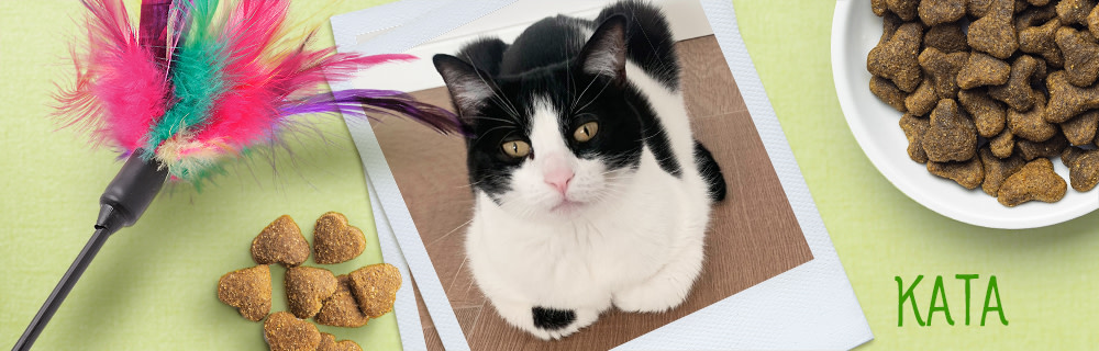 Ката - IT специалистът в zooplus